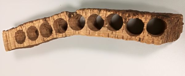 Korkrinde gebohrt (gestückelt, ca. 50cm lang)